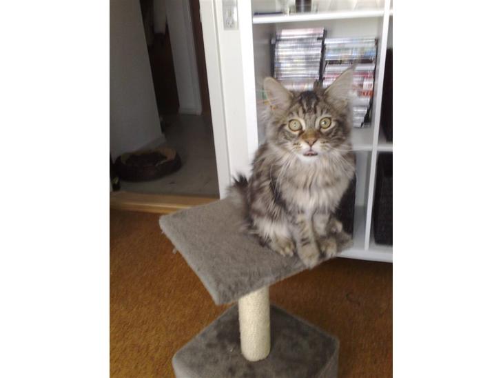 {{currentPhoto.altText}} billede {{currentPhoto.number}}