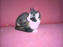 Blanding af racer lady (død):