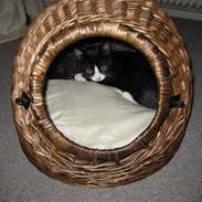 Huskat Manse