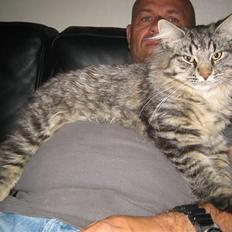 Blanding af racer fars mikle