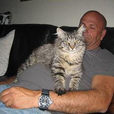 Blanding af racer fars mikle