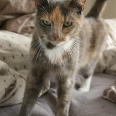 Huskat Fniisen <3 (: