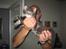 Maine Coon balbooms angelo
