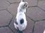 Huskat Basse <3 † R.I.P. †