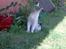 Huskat Basse <3 † R.I.P. †