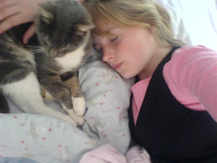 Huskat Milla billede 16