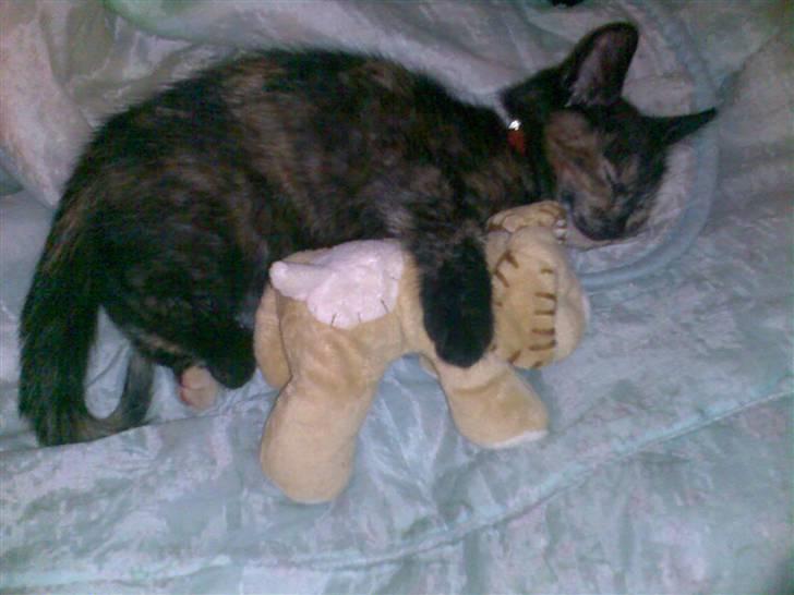 Huskat Pixi billede 5