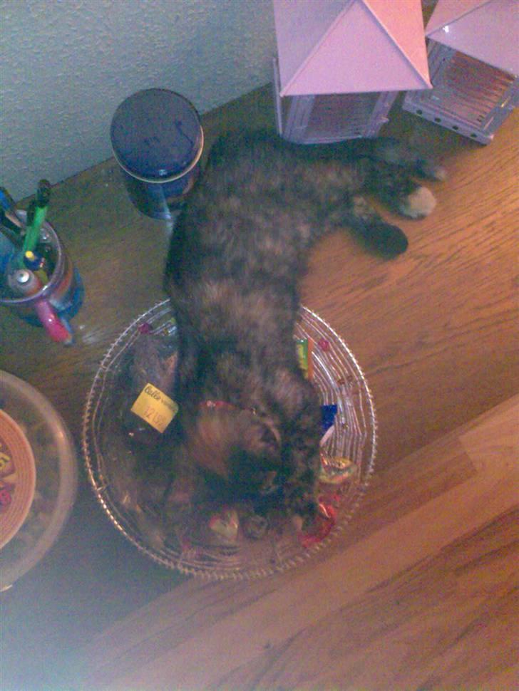 Huskat Pixi billede 7