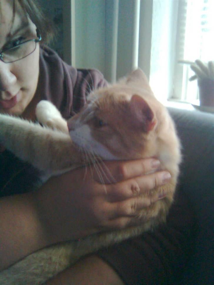 Huskat Zuma billede 4