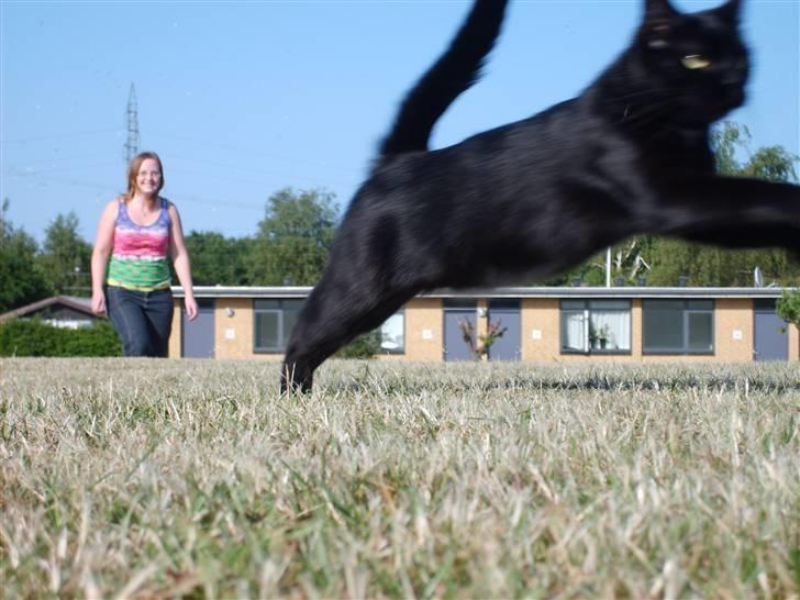 Huskat Pjuski billede 1