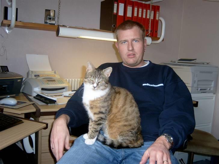 Blanding af racer † Kisser †  |Kiks| - Uhhaa, det er altid dejligt at sidde på storebror billede 4