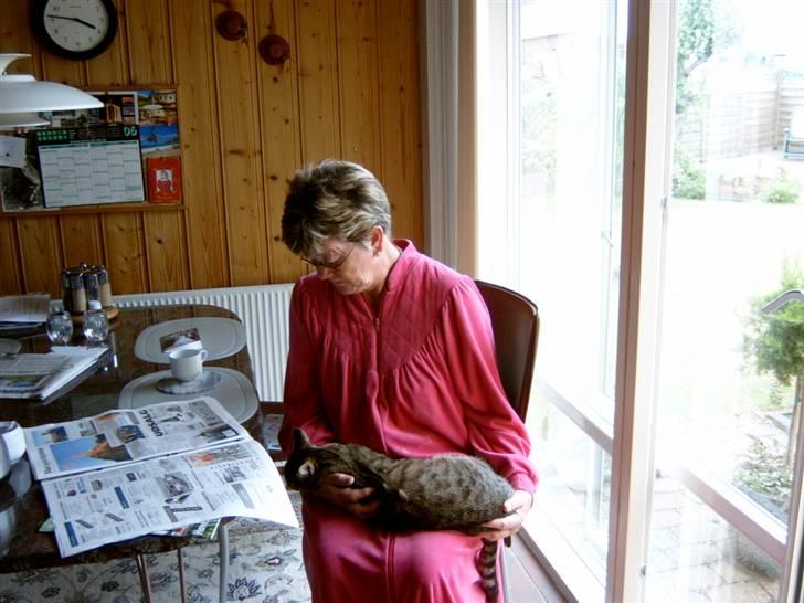 Blanding af racer † Kisser †  |Kiks| - HaHa, moar jeg kradser dig lige.. billede 5