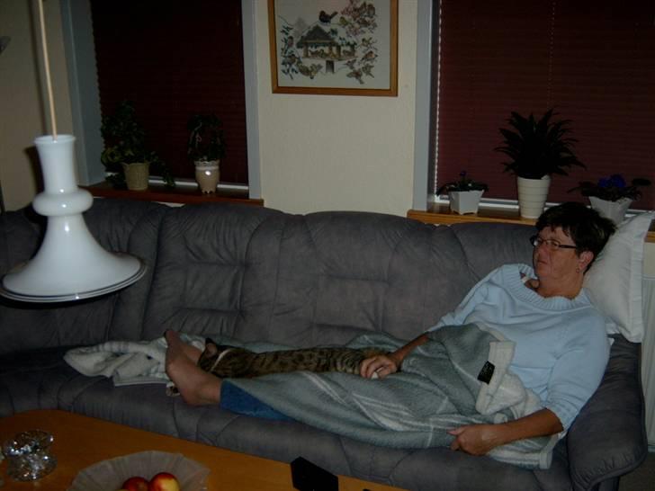 Blanding af racer † Kisser †  |Kiks| - Nu skal mig og Moar sove, moar skal snart på arbejde.. billede 10