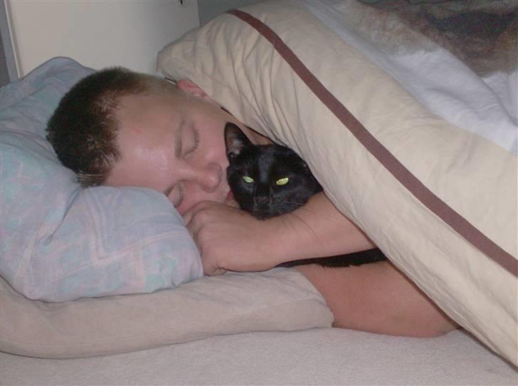 Huskat Jenni - hun elsker at ligge og sove under dynen sammen med min kærste billede 3