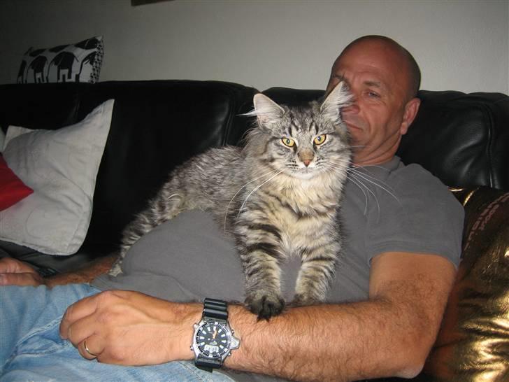 Blanding af racer fars mikle billede 3