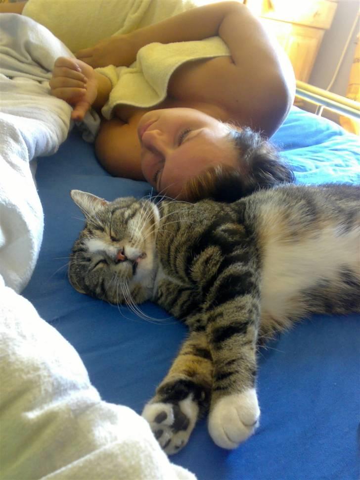 Huskat GALE billede 3