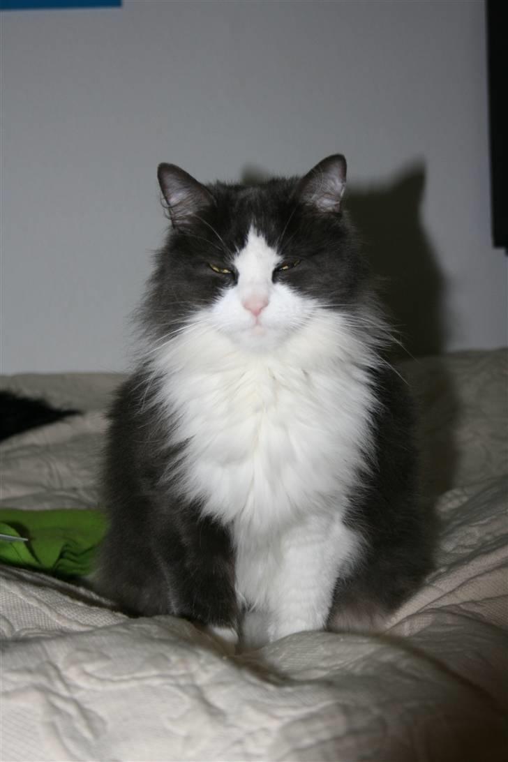 Huskat Buller  - Blizten var lige lidt skrap lukke lige øjenene<3(: billede 5