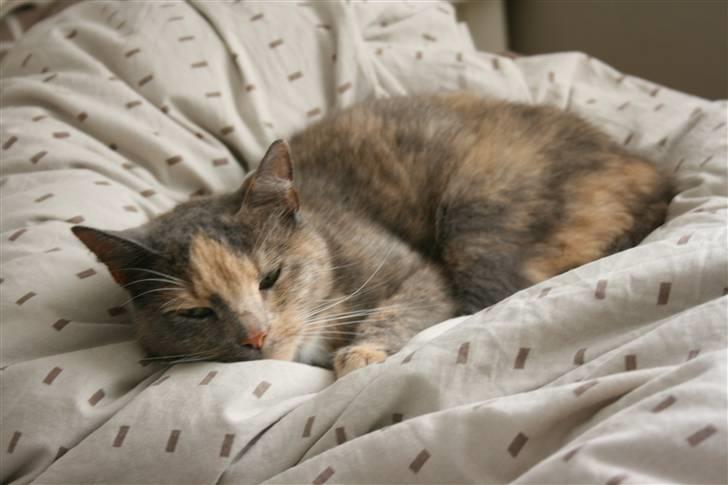 Huskat Fniisen <3 (: billede 3