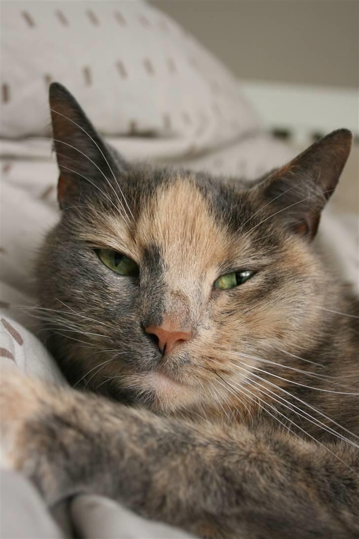 Huskat Fniisen <3 (: billede 5