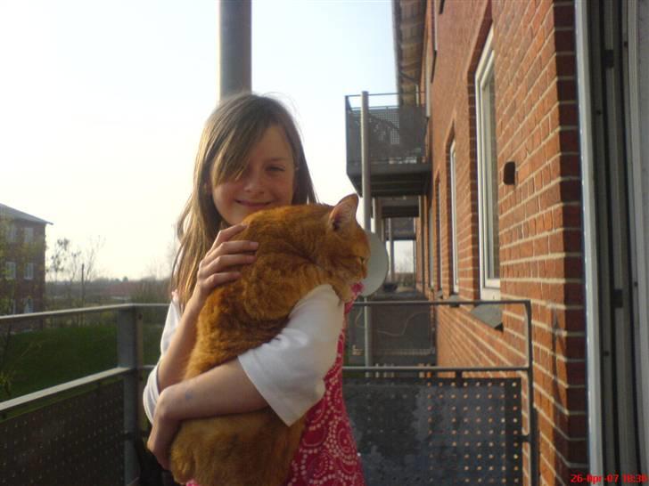 Huskat Prinz Mino vom Altgrunde - nu står jeg med celina billede 7