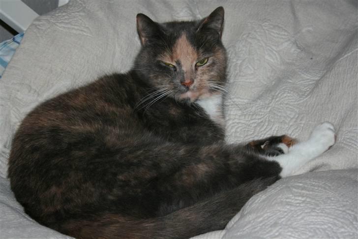 Huskat Fniisen <3 (: billede 6