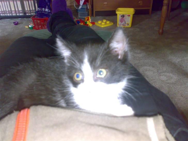 Huskat ¤Masha¤ billede 4