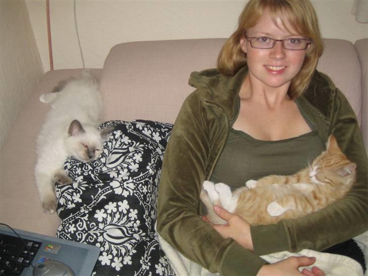 Huskat Rambo billede 4