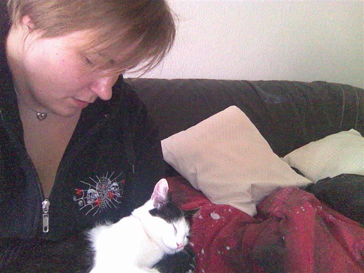 Huskat Pjevs - Så er det kæletid..! billede 4