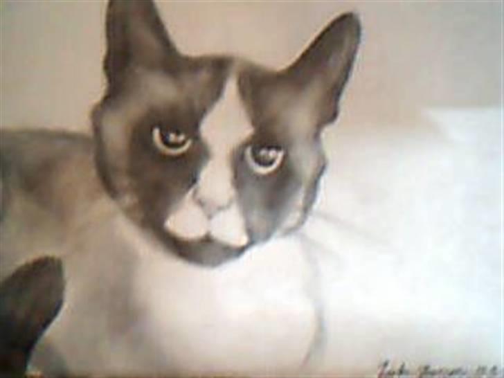 Blanding af racer Dronningen <3 ;D billede 19