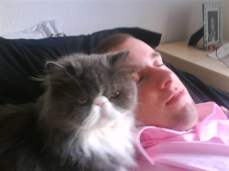 Perser Baby - Baby våger over far når han putter billede 7