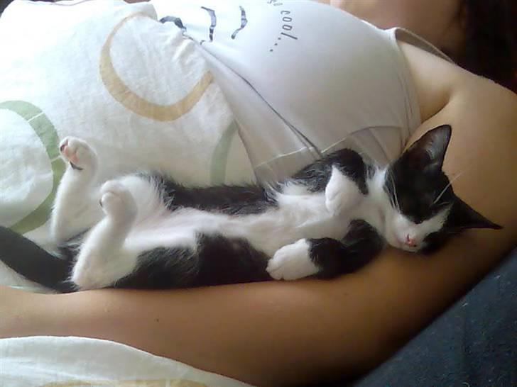 Huskat Sofus - Elsker at putte billede 4