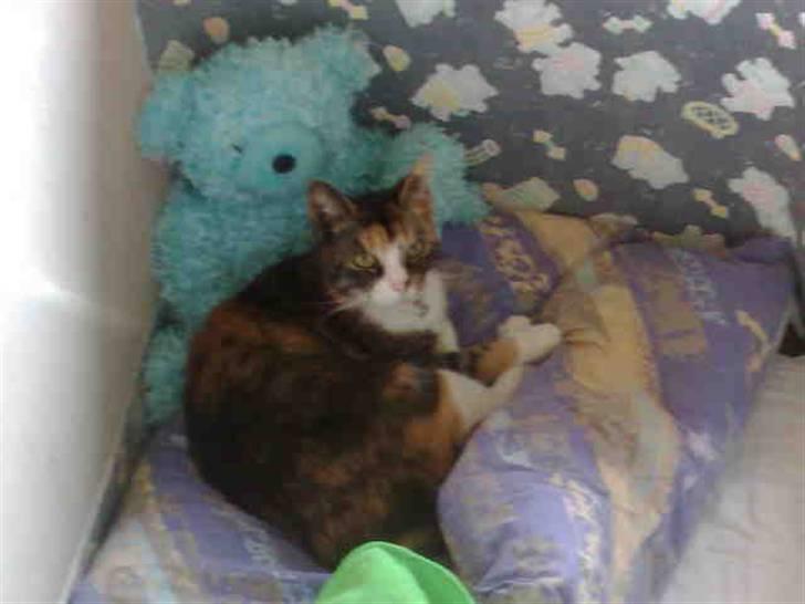 Huskat mulle 04-03-10 R.I.P. - hvem mig? billede 5