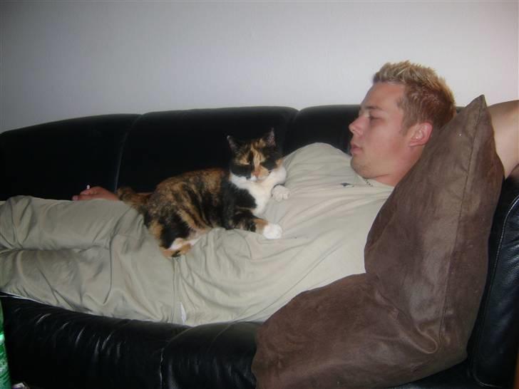 Huskat Smiv billede 5