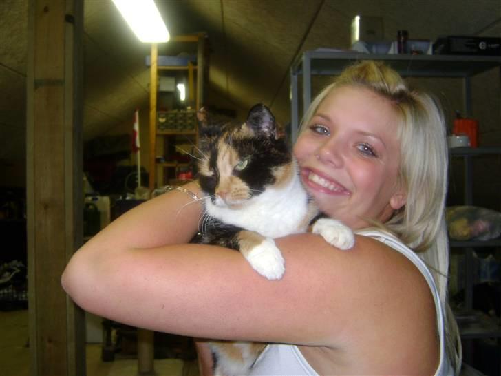 Huskat Smiv billede 6