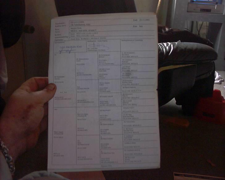 Maine Coon molly r.i.p 2001*   + billede 8