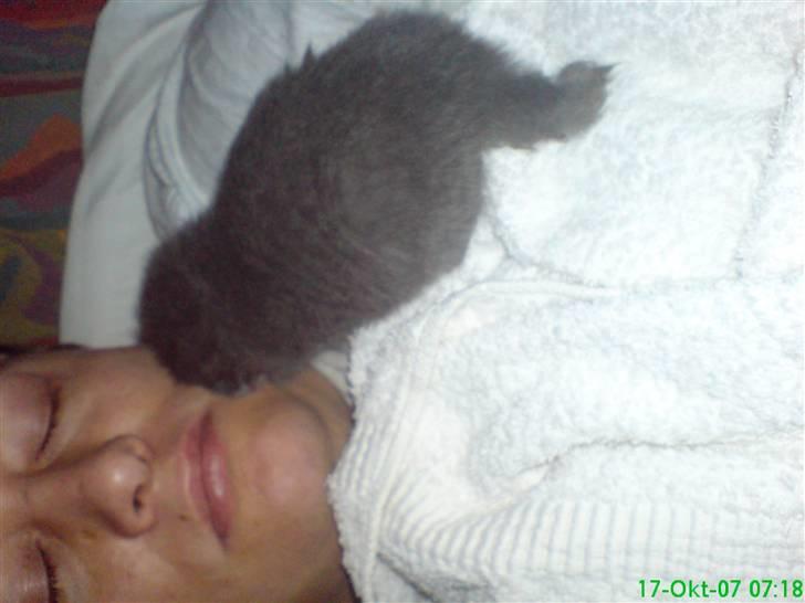 Huskat fars mis billede 13