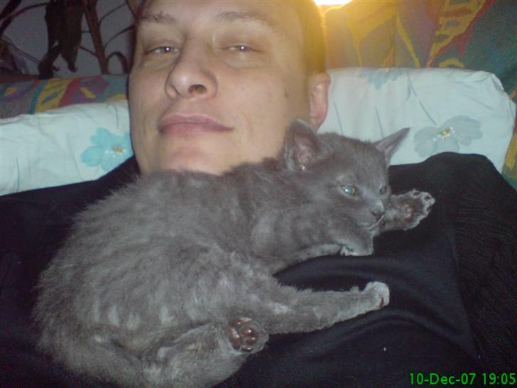 Huskat fars mis billede 14