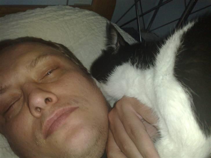 Huskat fars mis billede 4