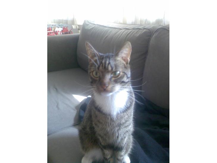 {{currentPhoto.altText}} billede {{currentPhoto.number}}