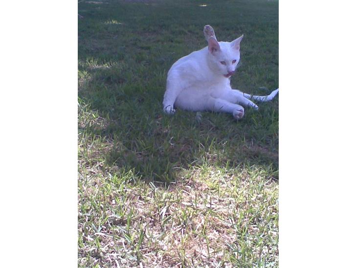 {{currentPhoto.altText}} billede {{currentPhoto.number}}