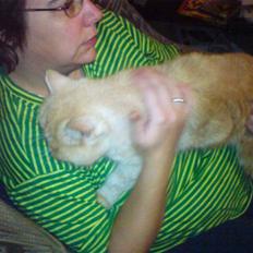 Exotic Gino Larenco R,I.P <3 /;