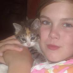 Blanding af racer Olga R.I.P