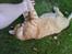Huskat R.I.P-GARFIELD-MINSKAT!<3<3