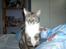 Huskat Bella {R.I.P}