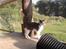 Huskat Oliver R.I.P