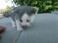 Huskat Oliver R.I.P
