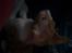 Cornish Rex lillemand/Nico Solgt