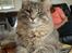 Maine Coon Julius Aflivet