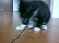 Huskat Flicka <3 - Sorry ! .. Billede ryster lidt :/