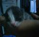 Huskat Jack